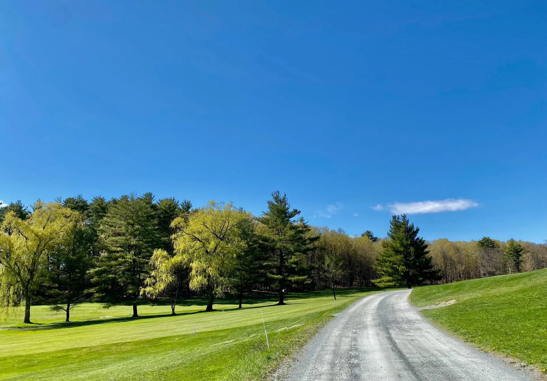 111 Prospect Point Road Castleton VT 05735