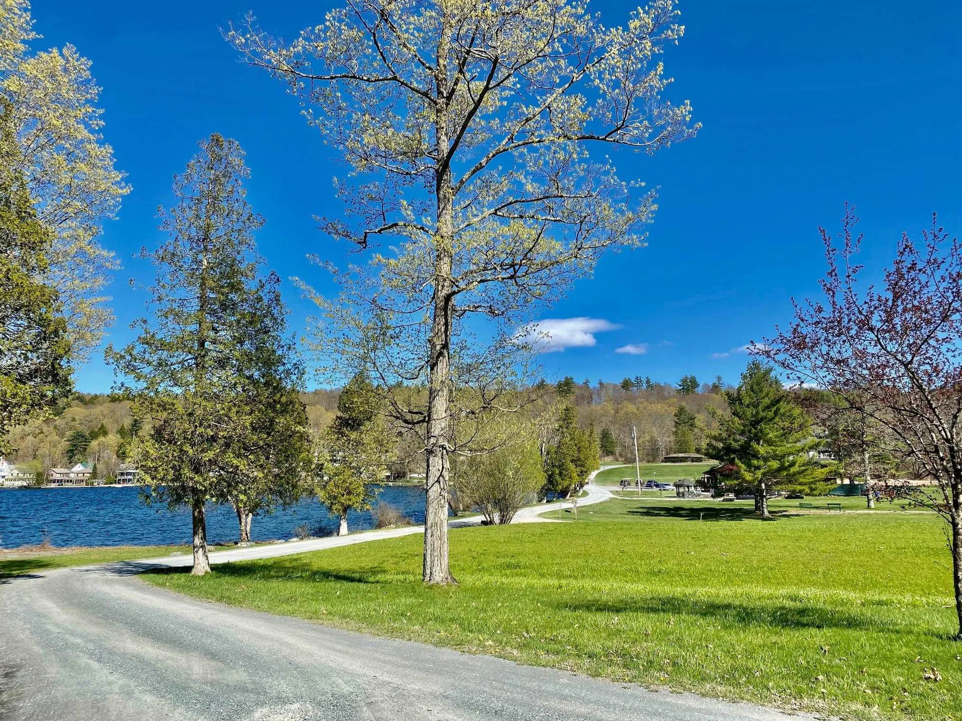 111 Prospect Point Road Castleton VT 05735