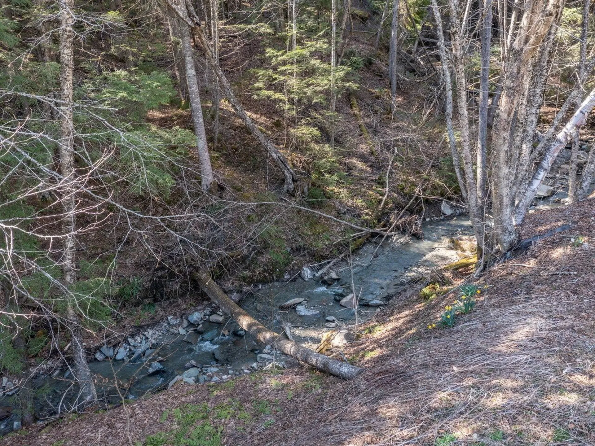 332 Brook Road Middlesex VT 05602