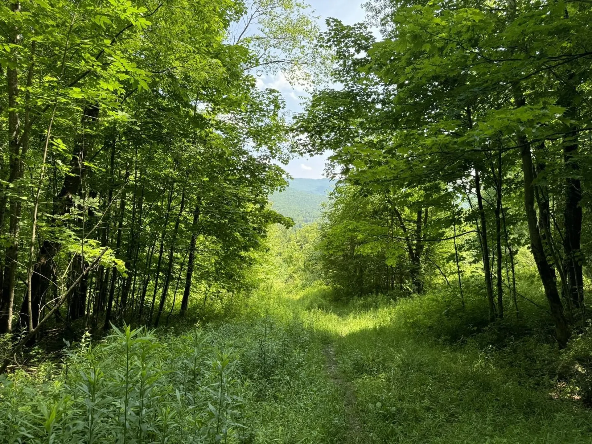 366 Sunrise Drive Huntington VT 05462