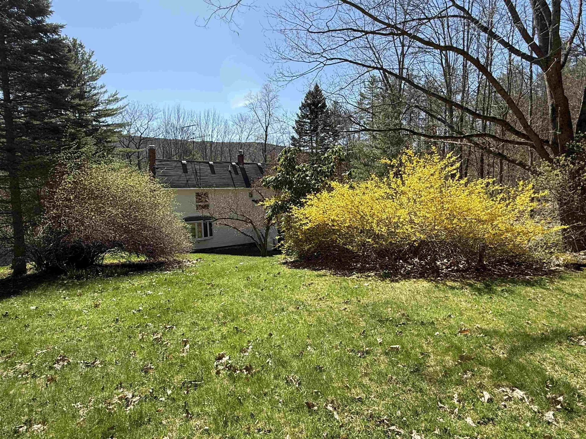 244 Densmore Road Cavendish VT 05142