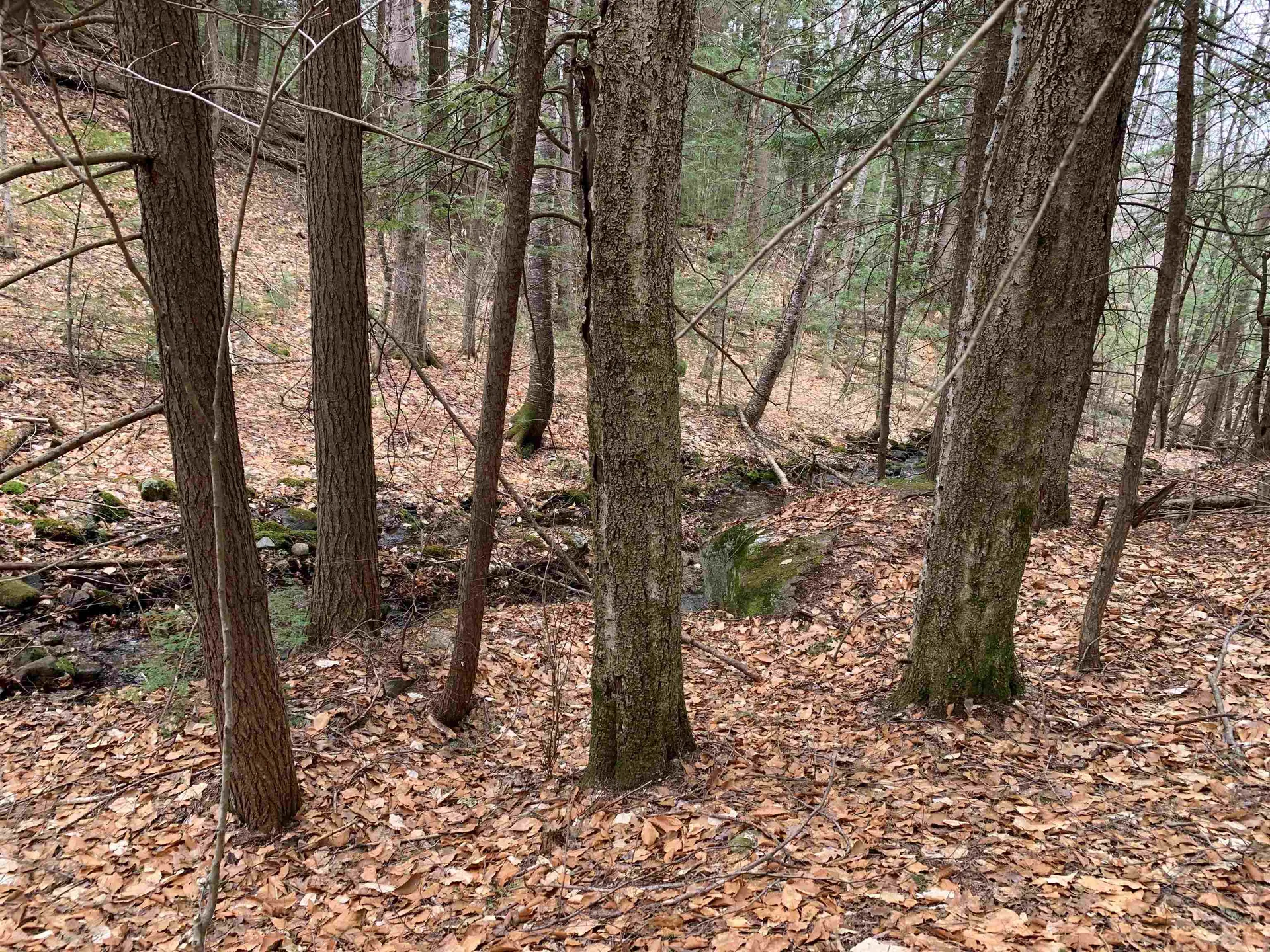 0 Stewart Road Eaton NH 03882