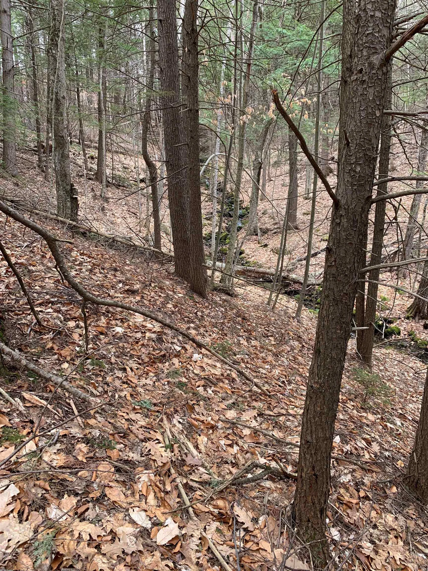 0 Stewart Road Eaton NH 03882