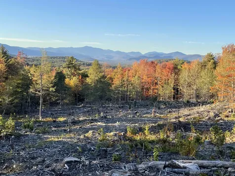 0 Stewart Road Eaton NH 03882