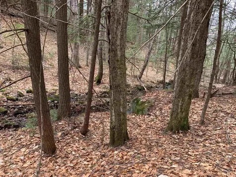 0 Stewart Road Eaton NH 03882