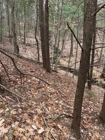 0 Stewart Road Eaton NH 03882