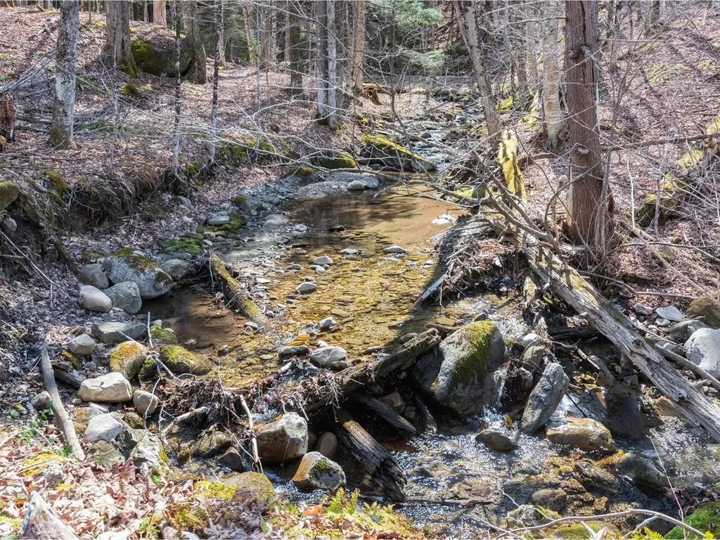 321 East River Road Lincoln VT 05443