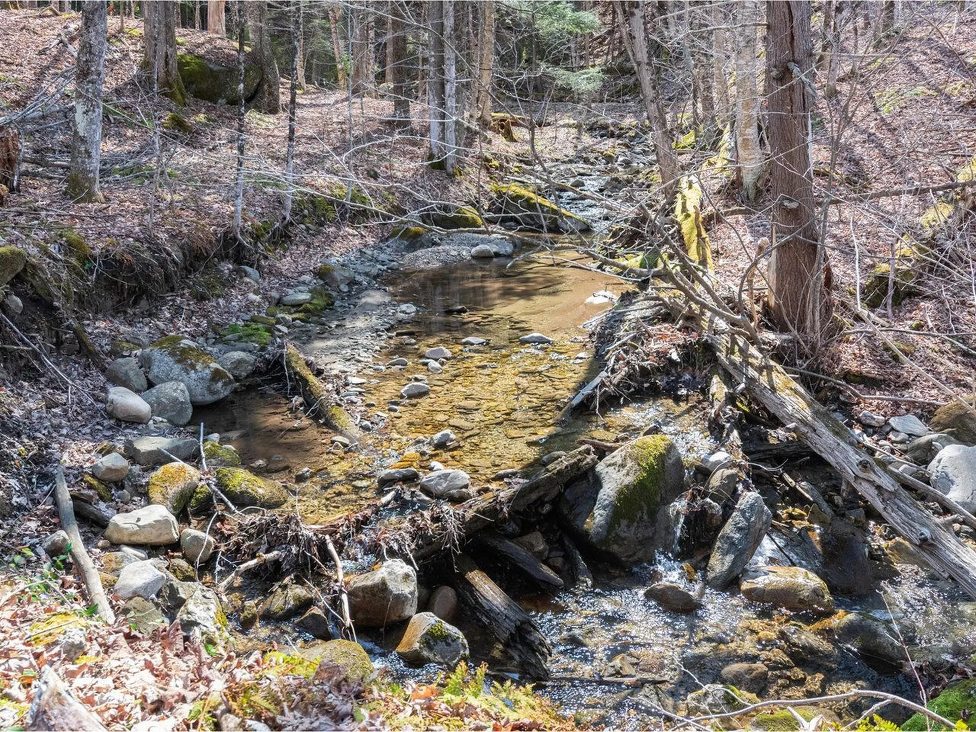 321 East River Road Lincoln VT 05443