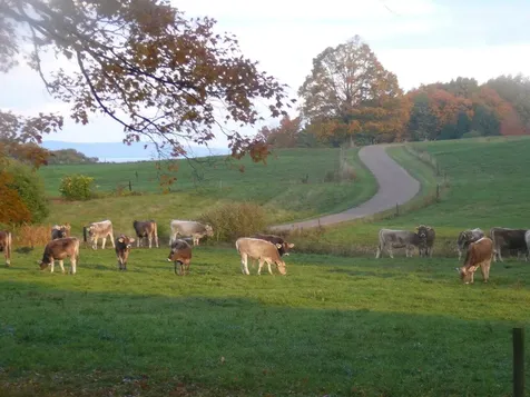 92 Fletcher Lane Shelburne VT 05482