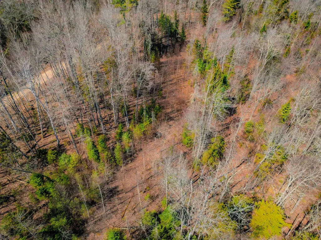 Ellsworth Hill Road Ellsworth NH 03223