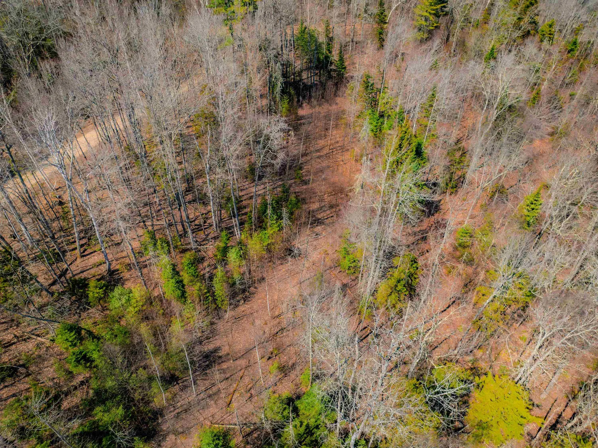 Ellsworth Hill Road Ellsworth NH 03223