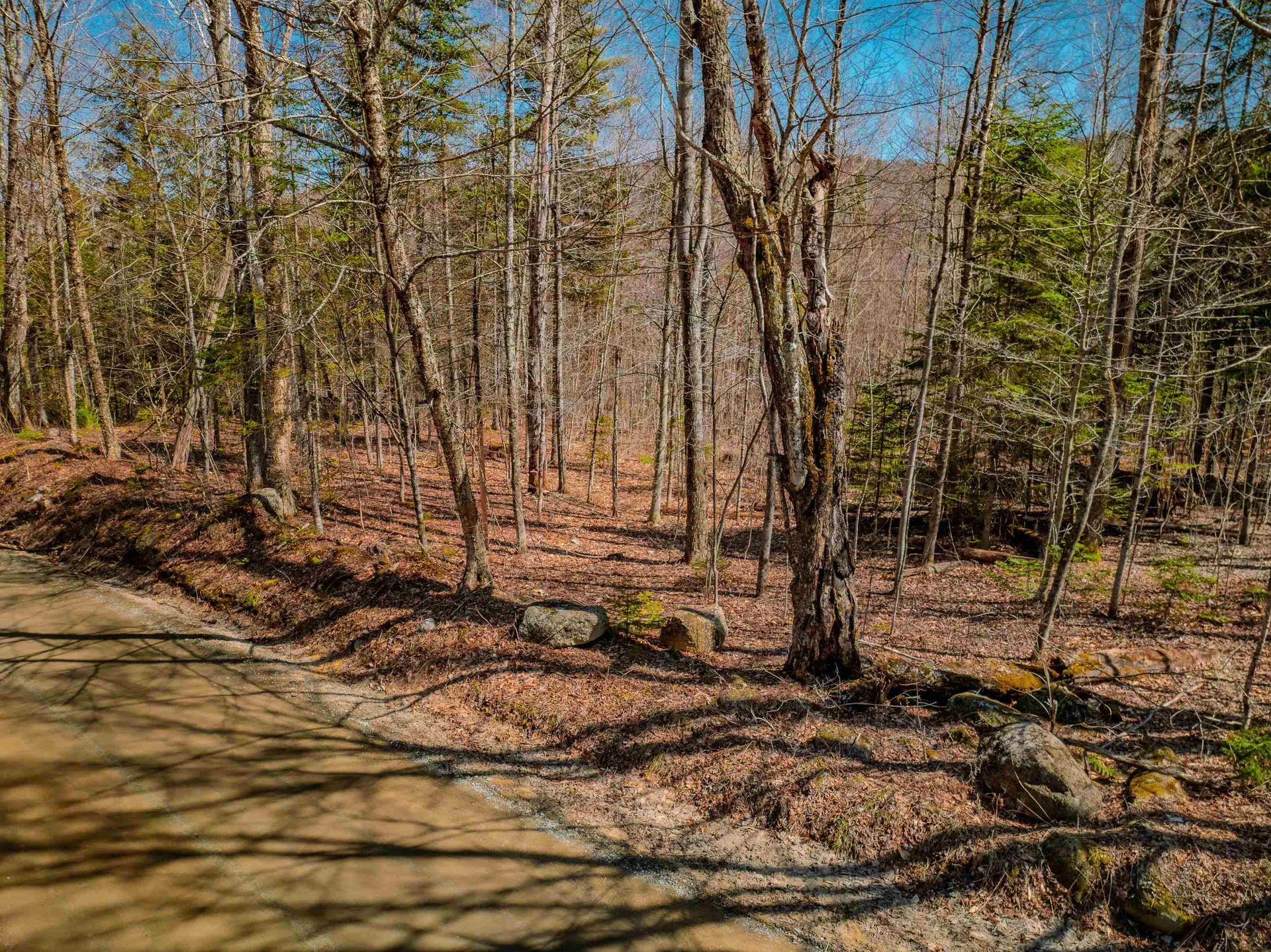 Ellsworth Hill Road Ellsworth NH 03223