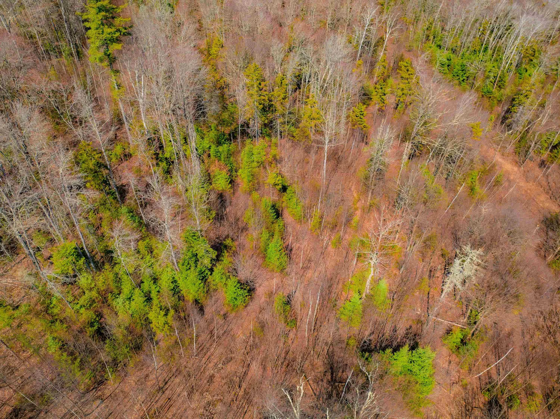 Ellsworth Hill Road Ellsworth NH 03223