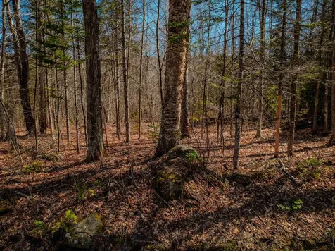 Ellsworth Hill Road Ellsworth NH 03223