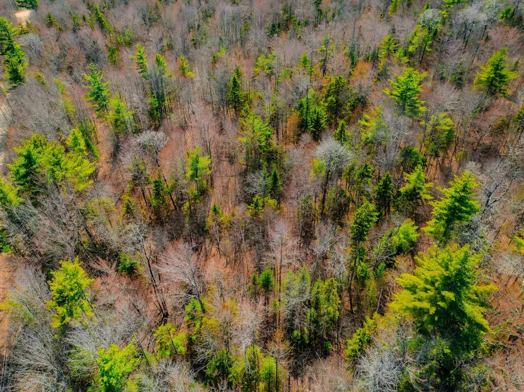 Stinson Lake Road Ellsworth NH 03223