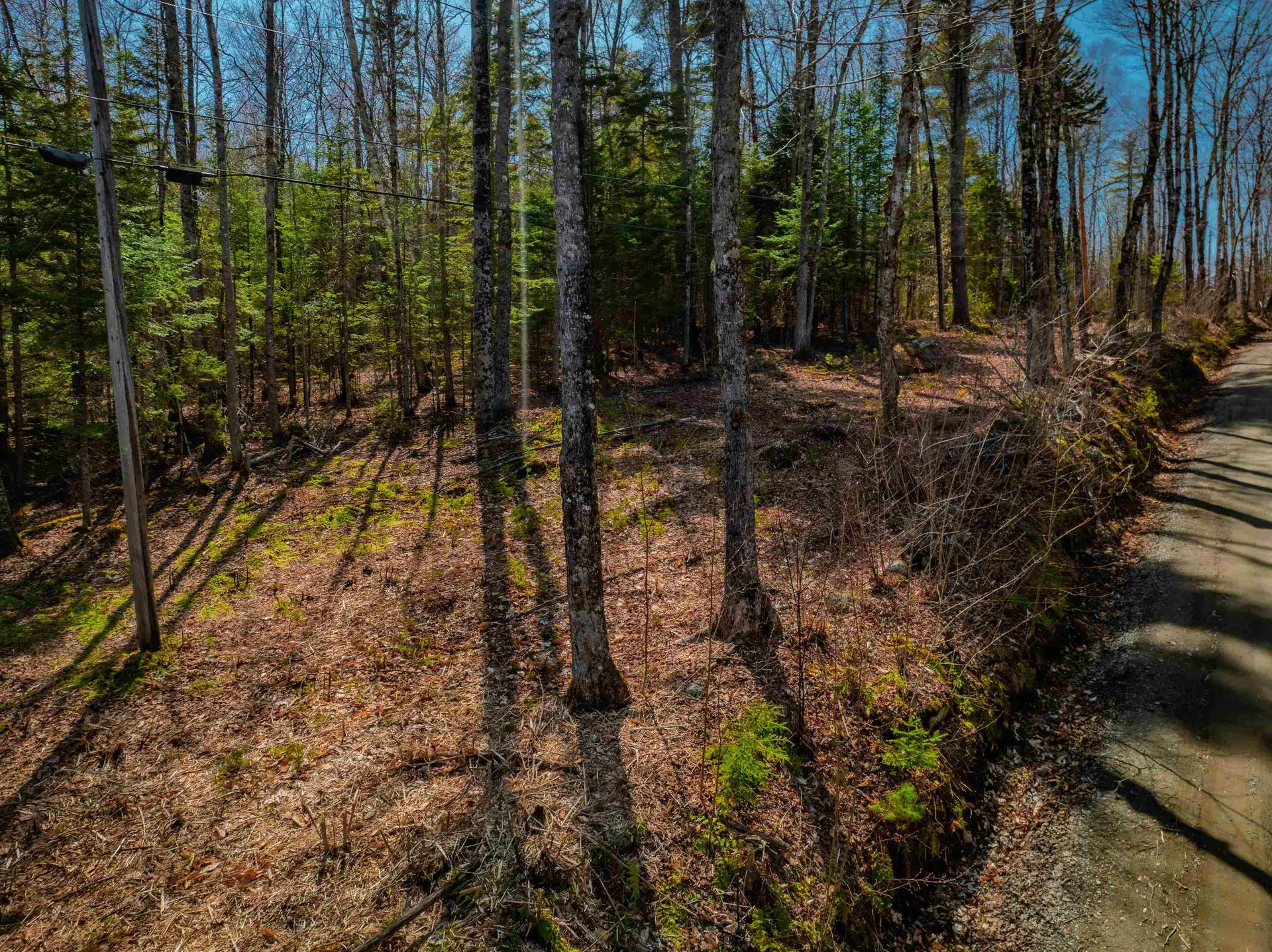 Stinson Lake Road Ellsworth NH 03223