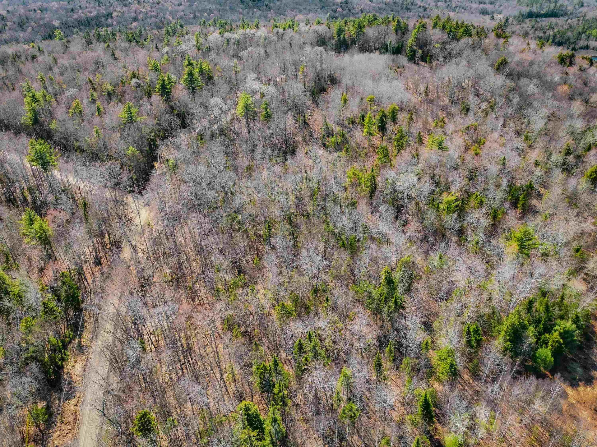 3613 Stinson Lake Road Ellsworth NH 03223