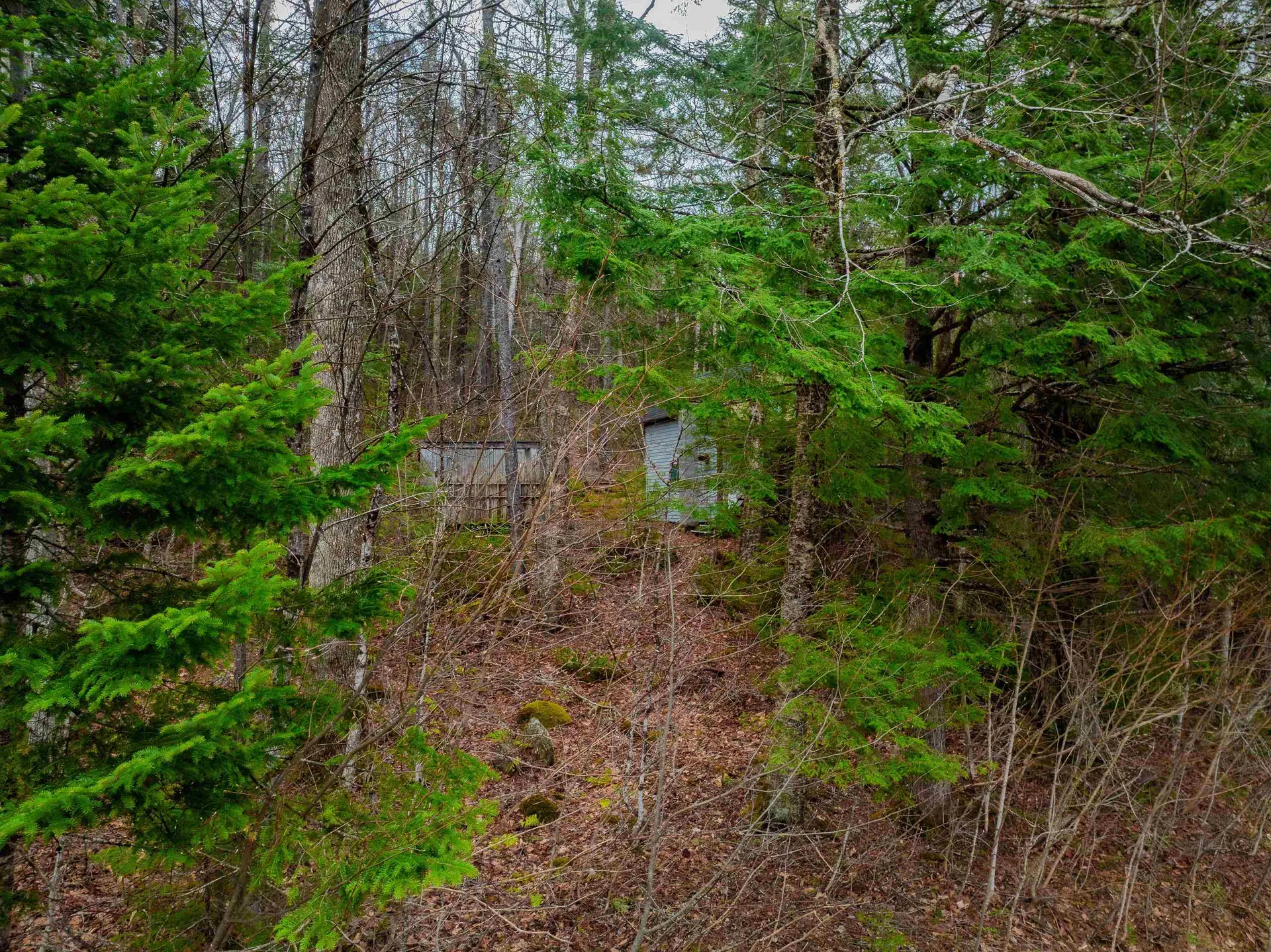 3613 Stinson Lake Road Ellsworth NH 03223