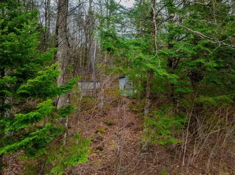 3613 Stinson Lake Road Ellsworth NH 03223