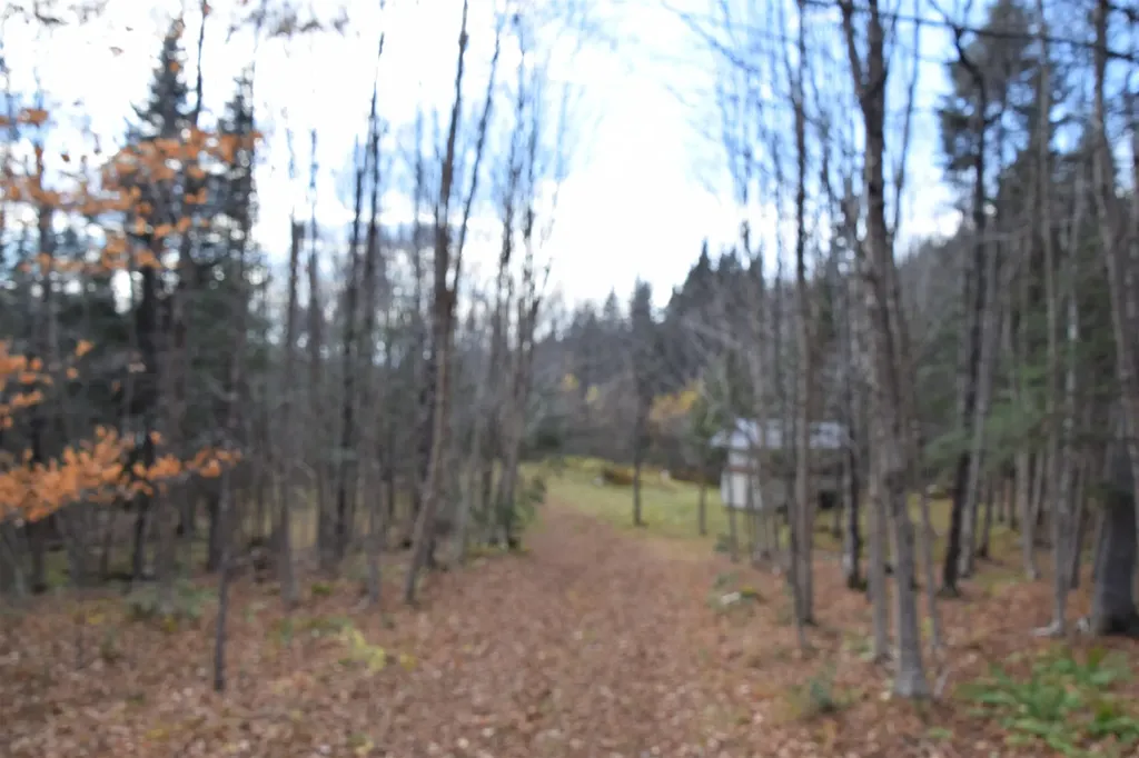 253 Brook Park Road Stewartstown NH 03576