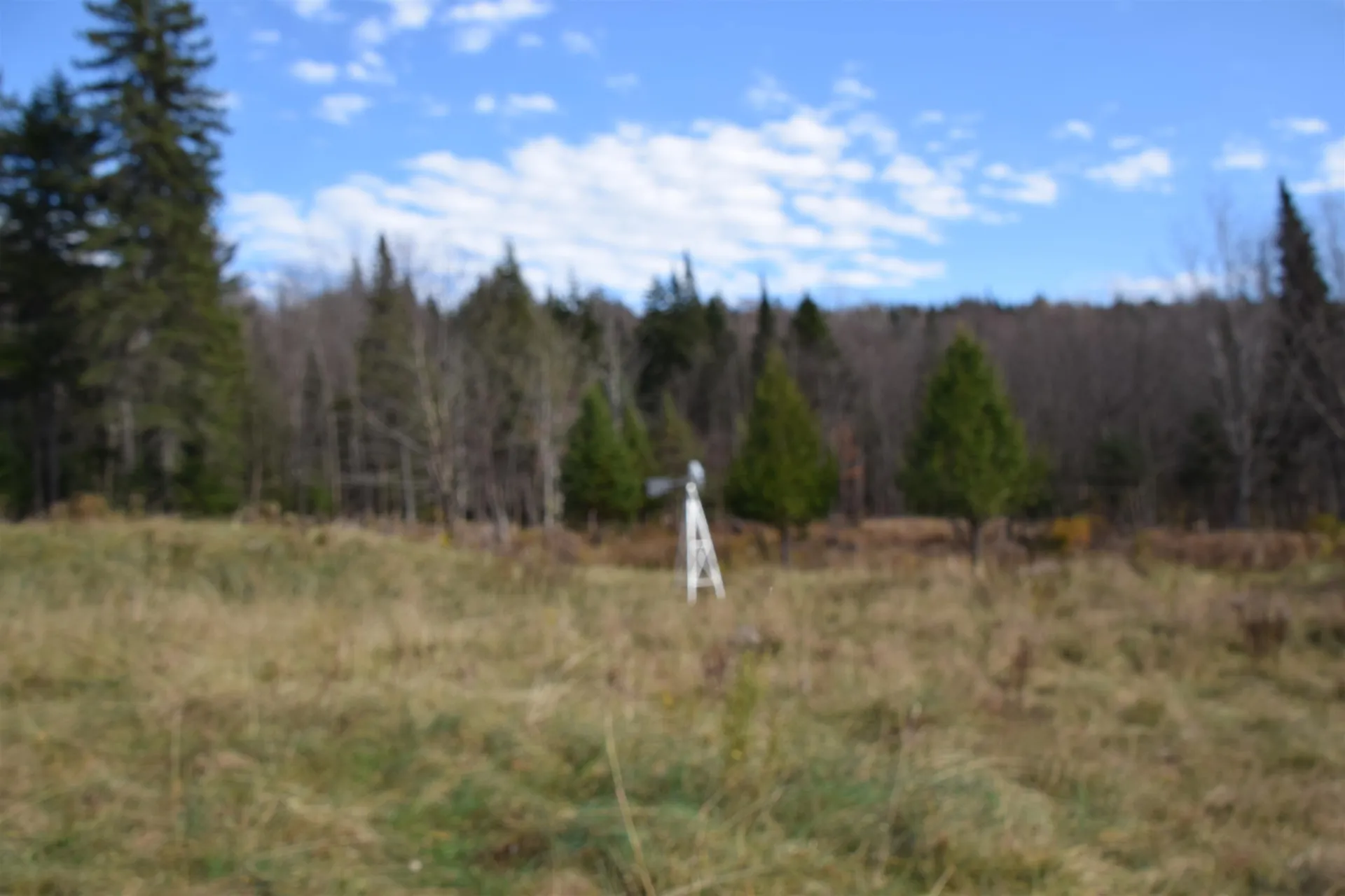 253 Brook Park Road Stewartstown NH 03576