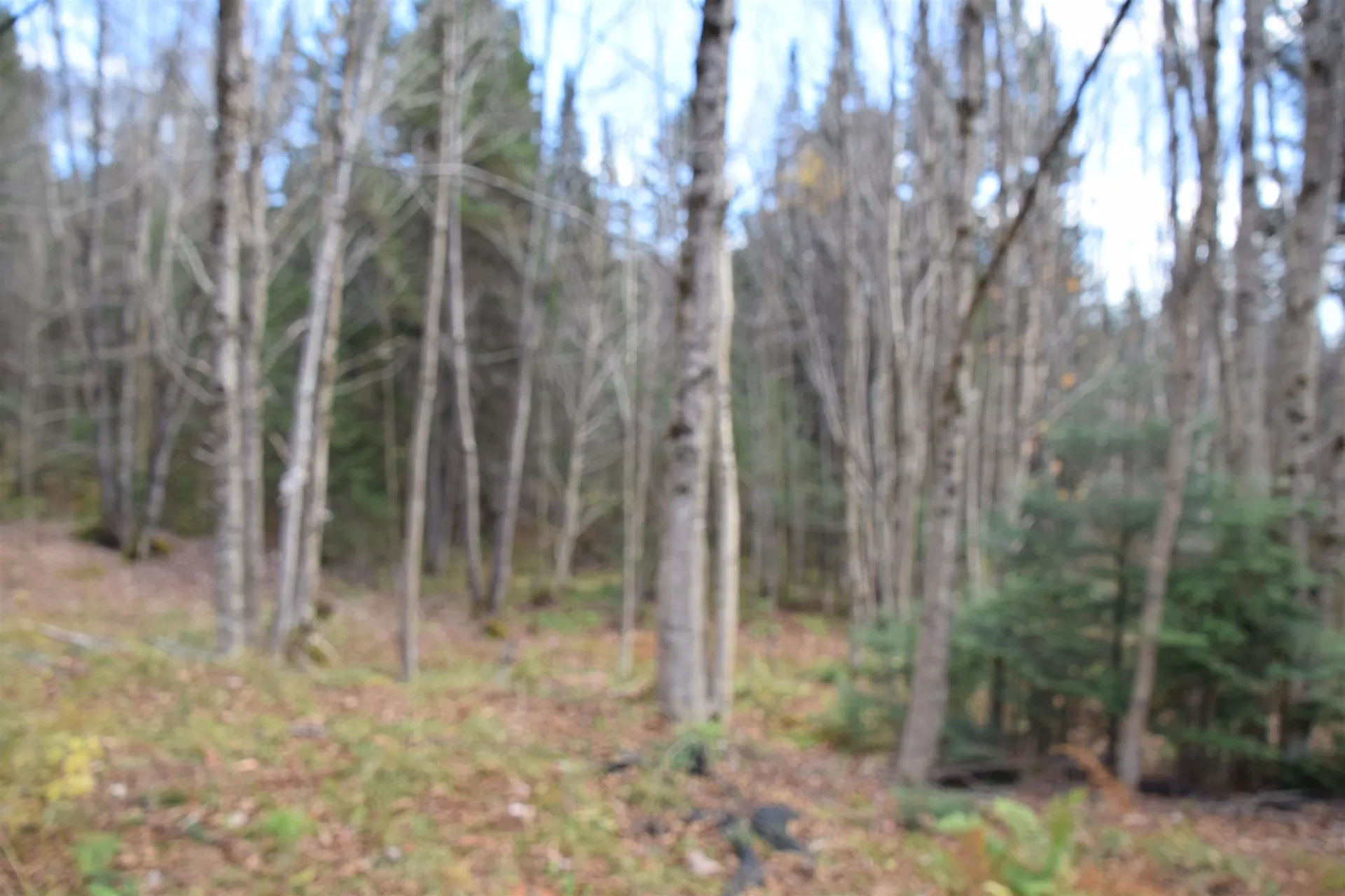 253 Brook Park Road Stewartstown NH 03576