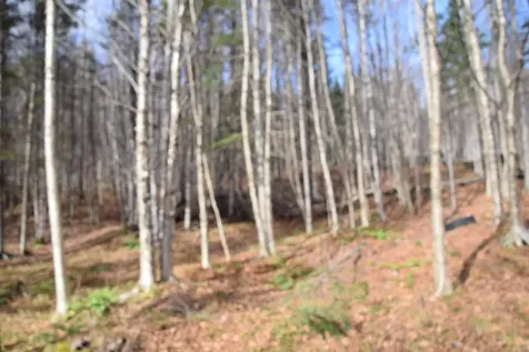 253 Brook Park Road Stewartstown NH 03576