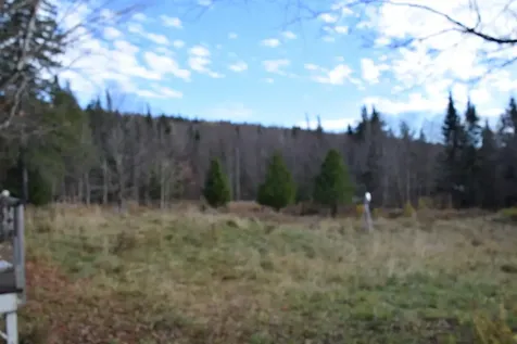 253 Brook Park Road Stewartstown NH 03576