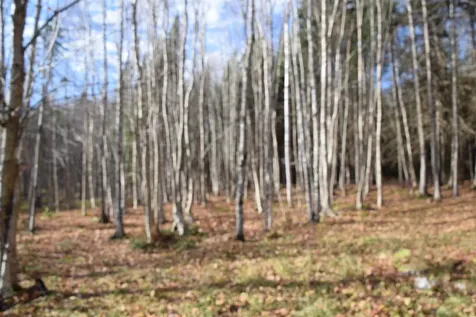 253 Brook Park Road Stewartstown NH 03576