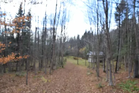 253 Brook Park Road Stewartstown NH 03576