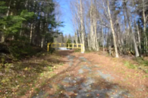 253 Brook Park Road Stewartstown NH 03576