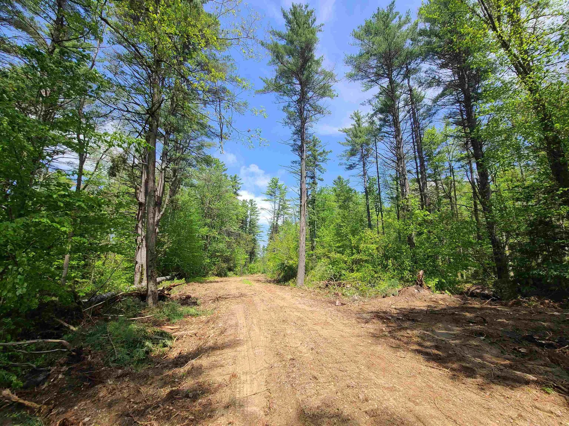 125 Bowkerville Road Fitzwilliam NH 03447