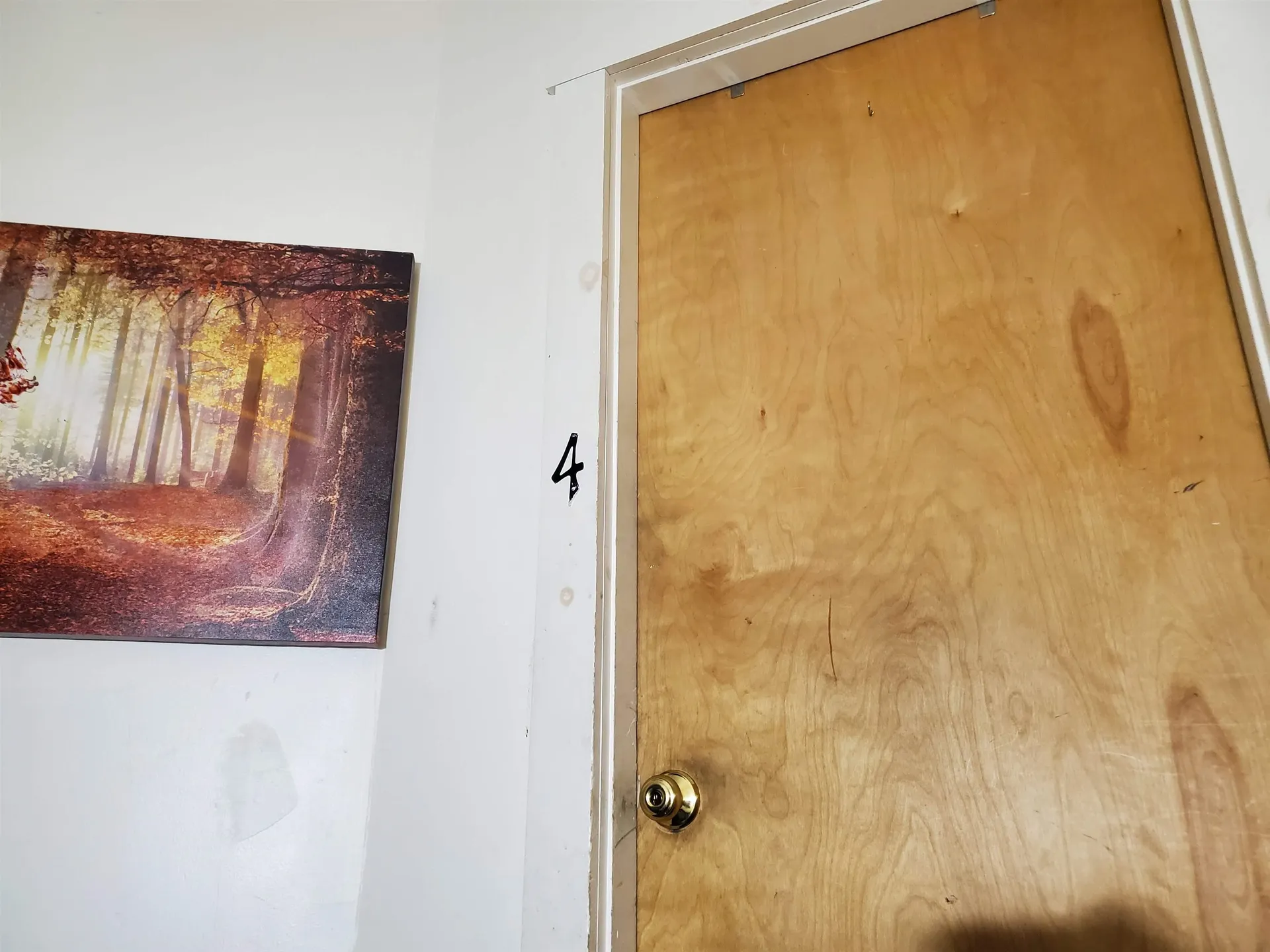 35 Wells Street Enfield NH 03748