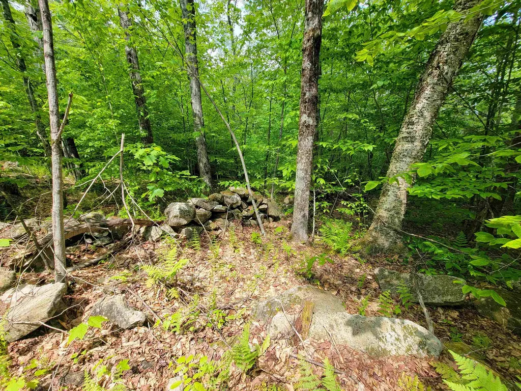 184 Schoolhouse Road Jamaica VT 05343