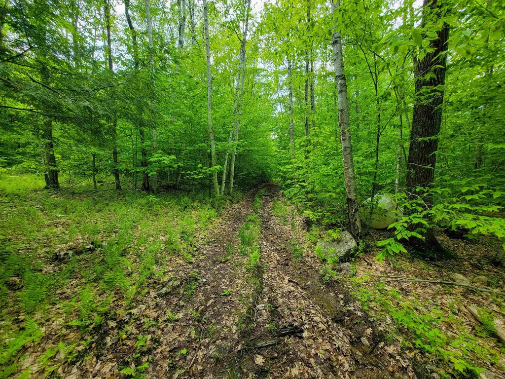 184 Schoolhouse Road Jamaica VT 05343