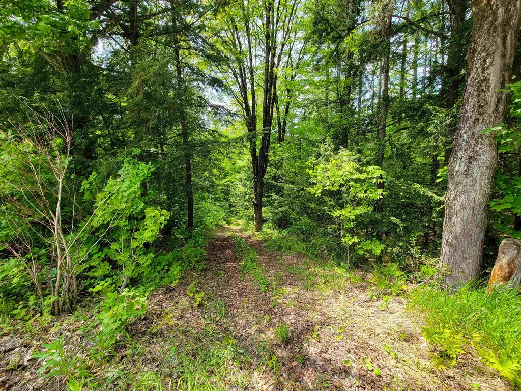 184 Schoolhouse Road Jamaica VT 05343