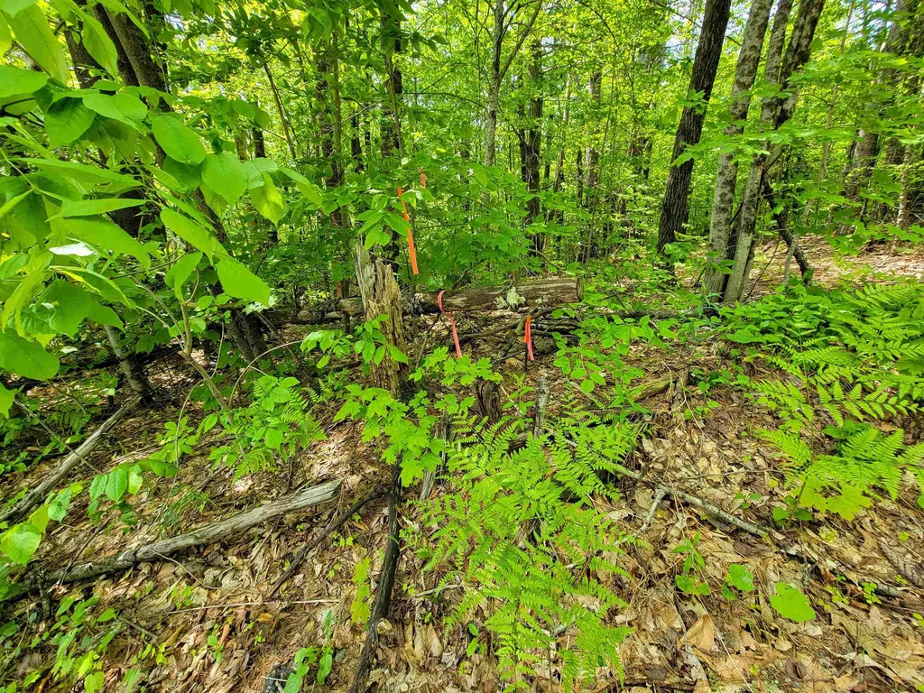 184 Schoolhouse Road Jamaica VT 05343