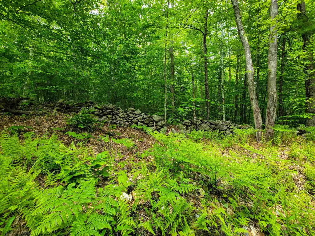 184 Schoolhouse Road Jamaica VT 05343