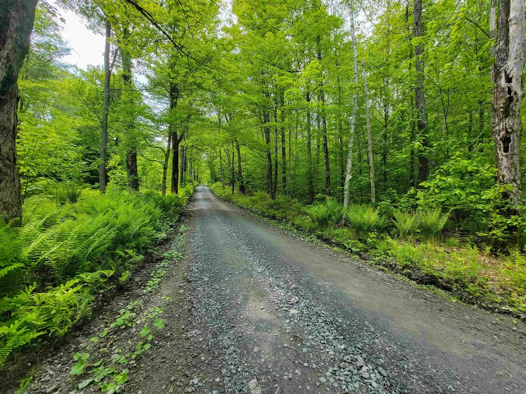 184 Schoolhouse Road Jamaica VT 05343