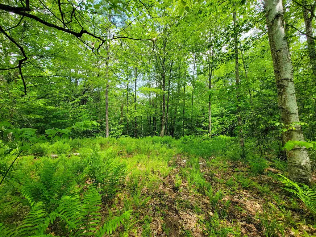 184 Schoolhouse Road Jamaica VT 05343