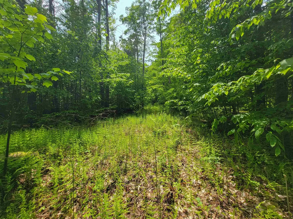 184 Schoolhouse Road Jamaica VT 05343