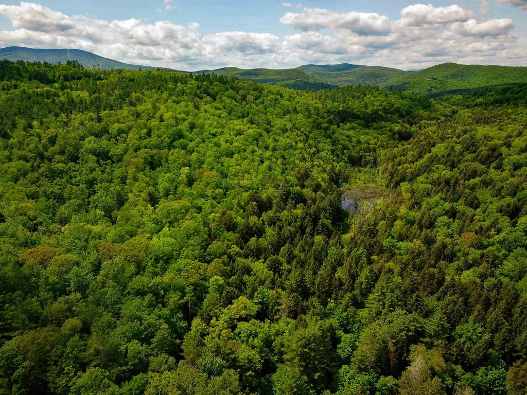 184 Schoolhouse Road Jamaica VT 05343