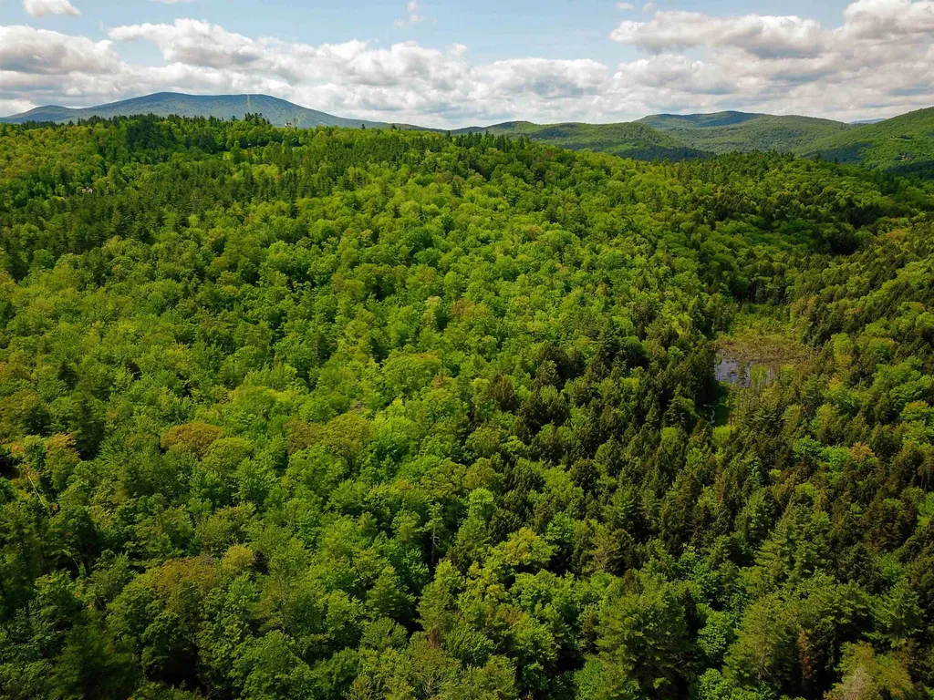 184 Schoolhouse Road Jamaica VT 05343