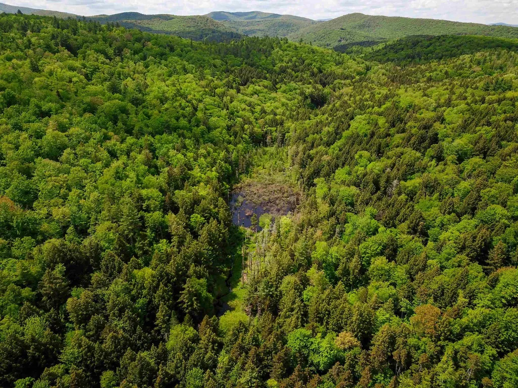 184 Schoolhouse Road Jamaica VT 05343