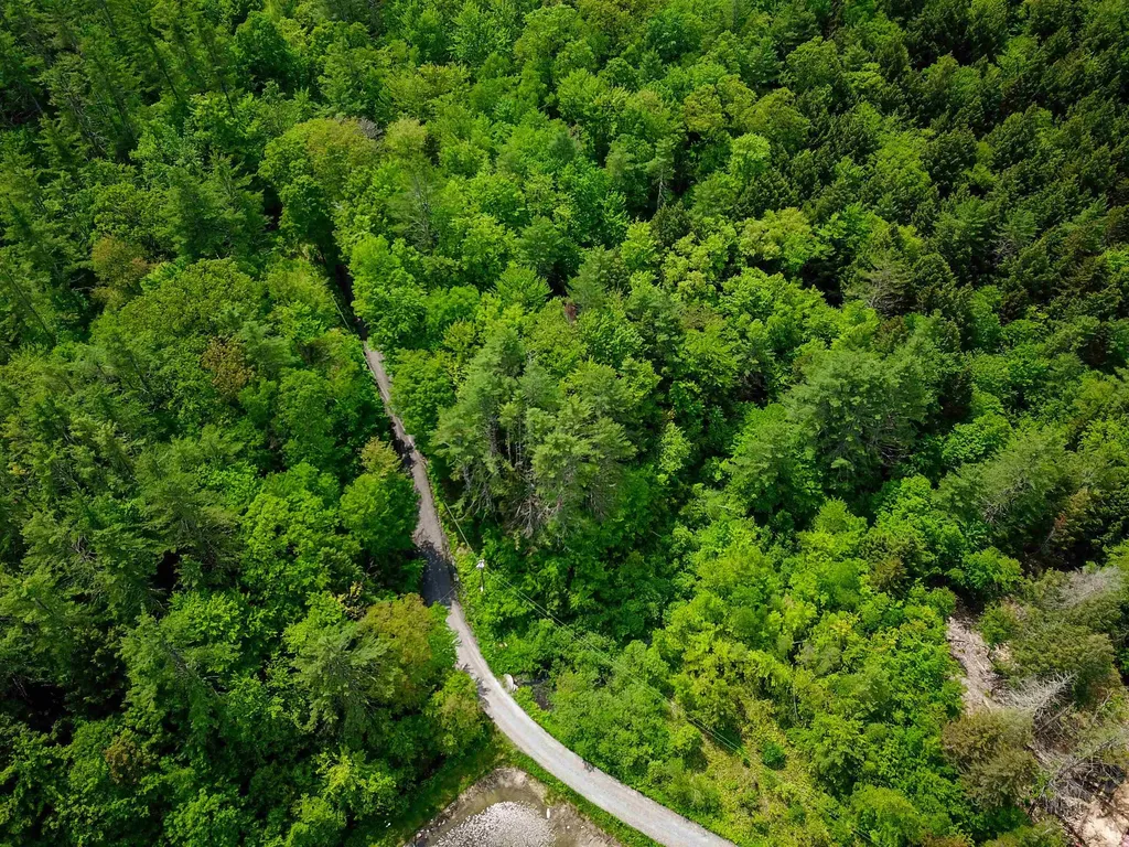 184 Schoolhouse Road Jamaica VT 05343