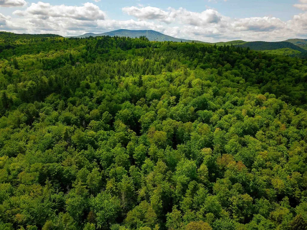 184 Schoolhouse Road Jamaica VT 05343