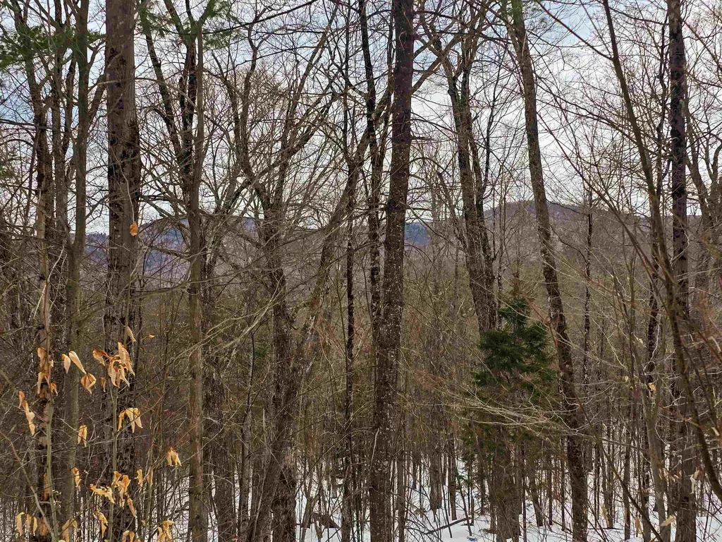 184 Schoolhouse Road Jamaica VT 05343