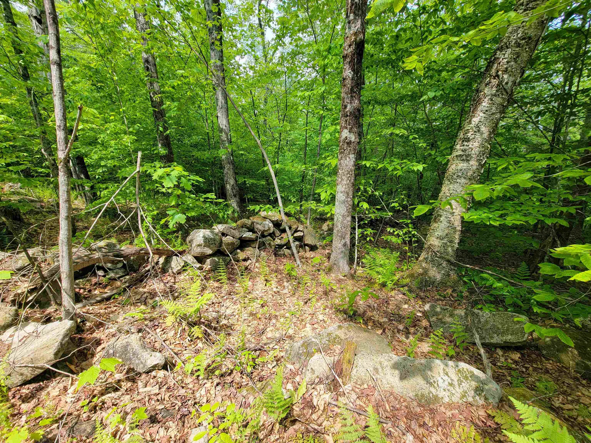 184 Schoolhouse Road Jamaica VT 05343