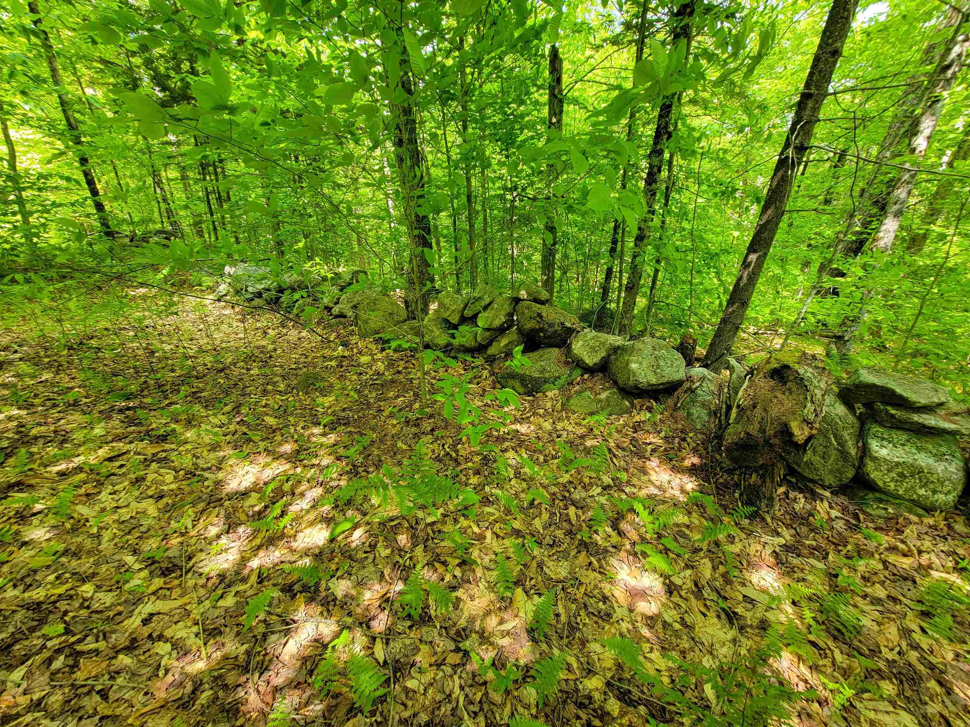 184 Schoolhouse Road Jamaica VT 05343