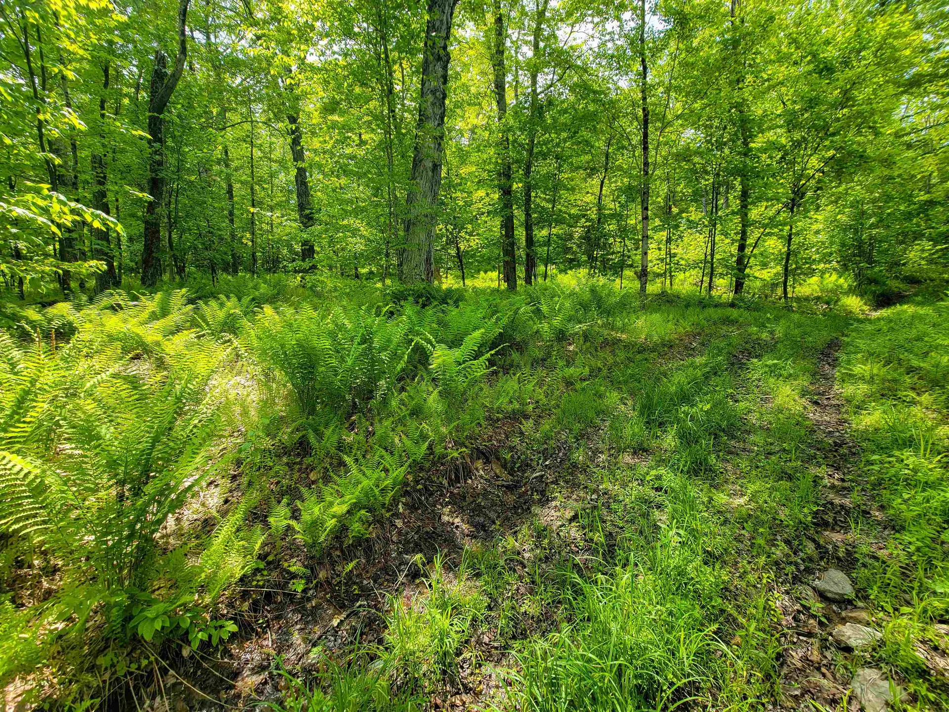 184 Schoolhouse Road Jamaica VT 05343